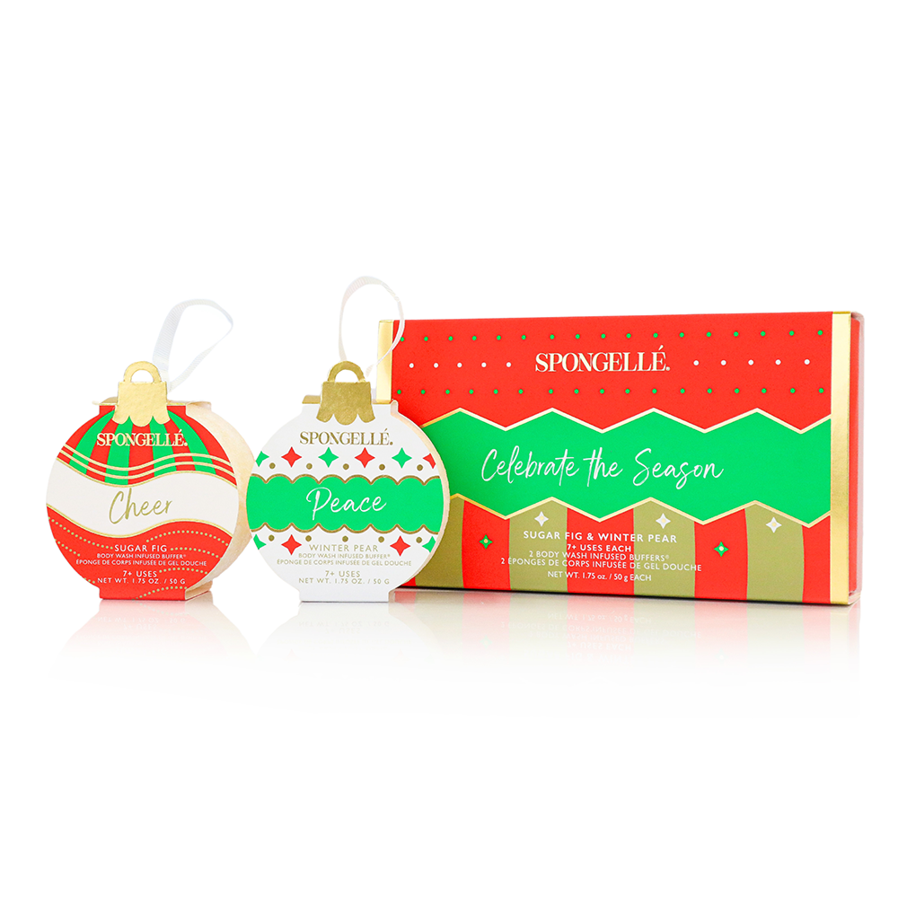 Celebrate the Season | Holiday Ornament Gift Set-0