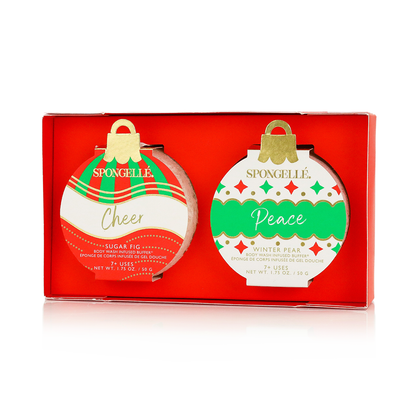 Celebrate the Season | Holiday Ornament Gift Set-4