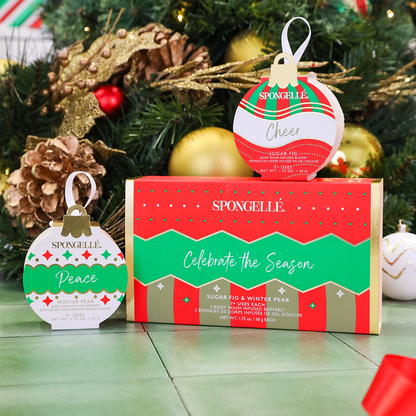 Celebrate the Season | Holiday Ornament Gift Set-1